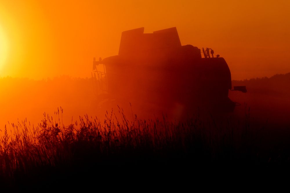 Photograph by Alexander Popoff