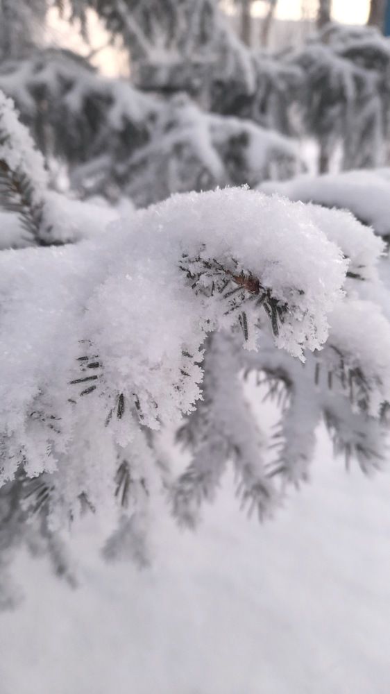 Фотография автора Анна Морозова