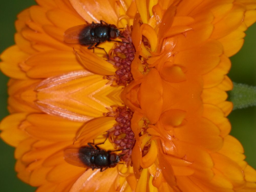 Photograph by Георгий Салюков