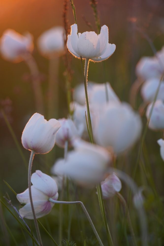 Photograph by Евгения