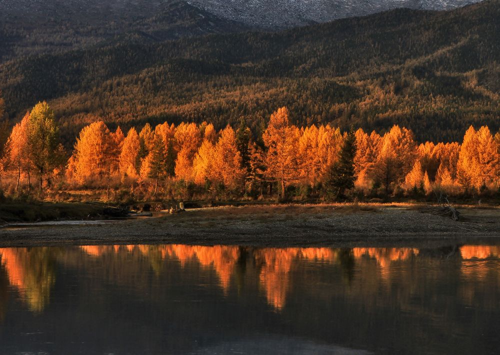 Photograph by Галина Хвостенко