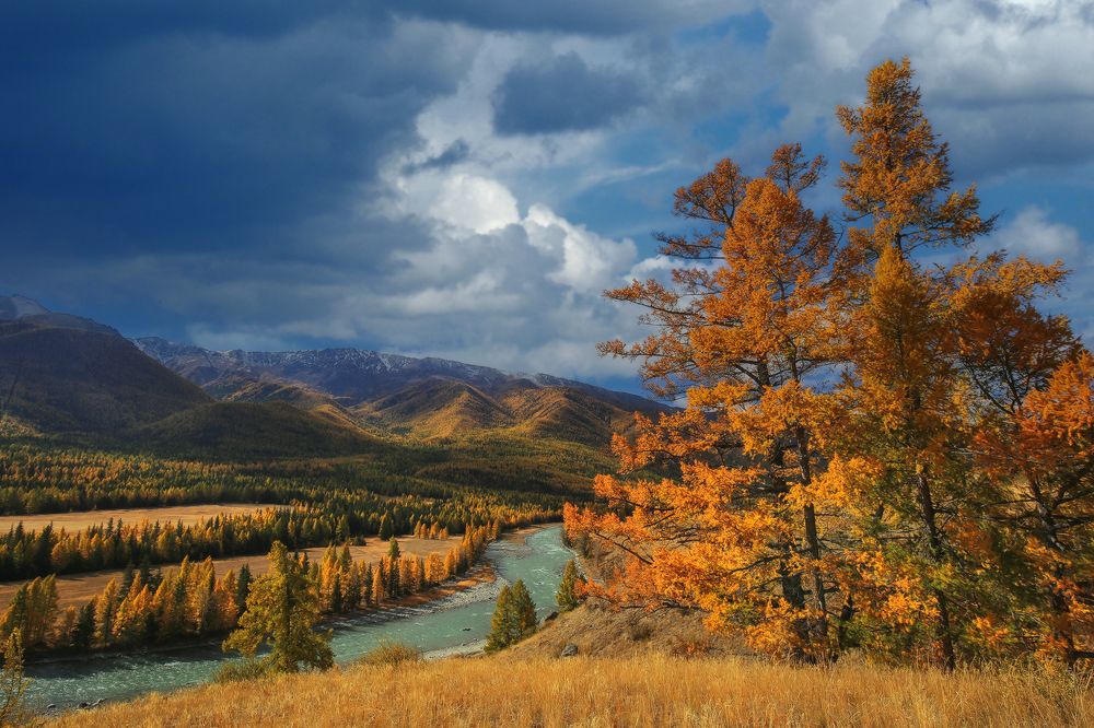 Photograph by Галина Хвостенко