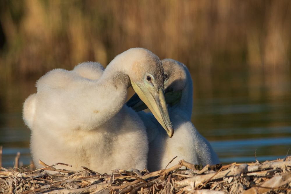 Photograph by Татьяна Нурхайдарова