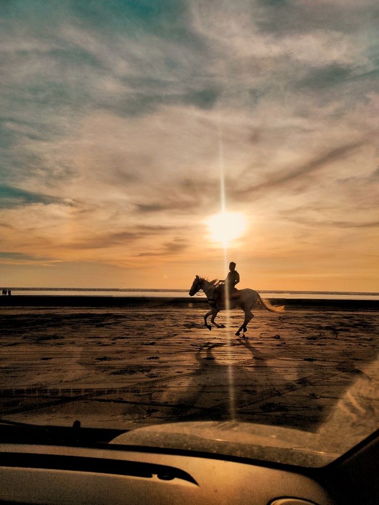 Фотография автора Lubna shaikh