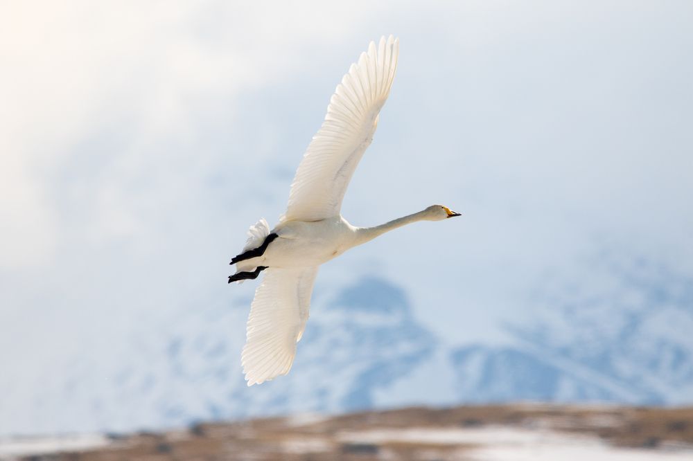 Photograph by Татьяна Нурхайдарова