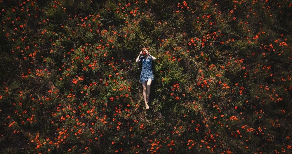 Photograph by Юлия Михайлова