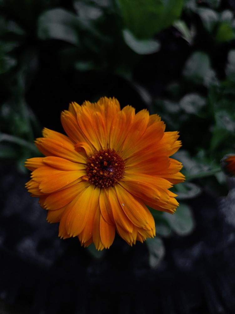 Photograph by Ольга Карева