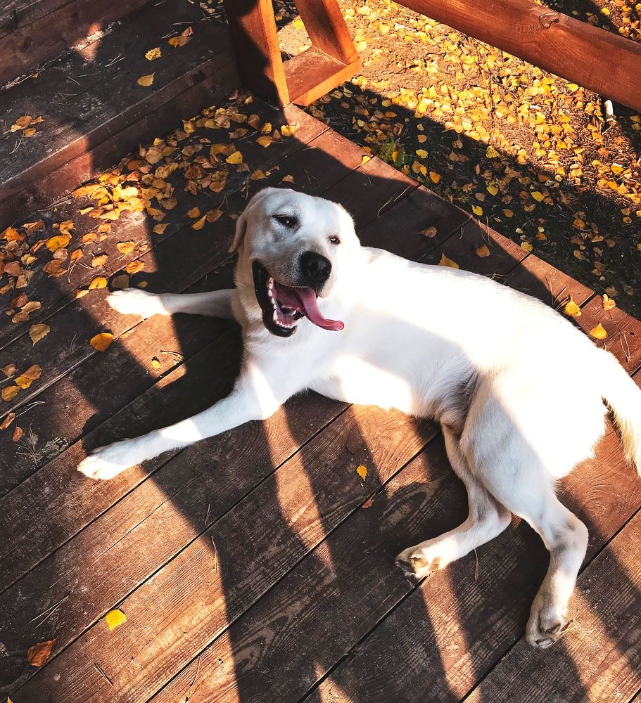 Photograph by Татьяна Волохова