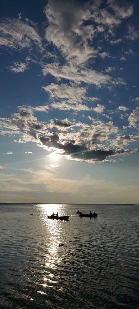 Photo #9501051