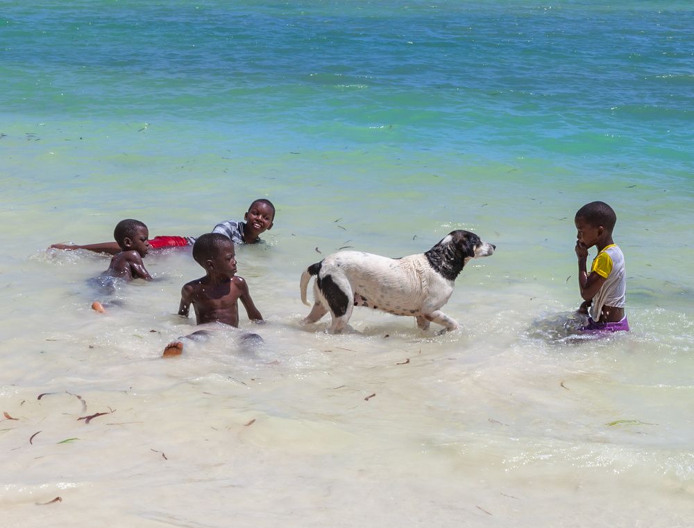 Фотография автора Людмила Прокофьева