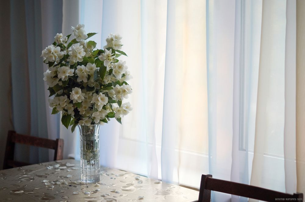 Photograph by Маргарита Гасец