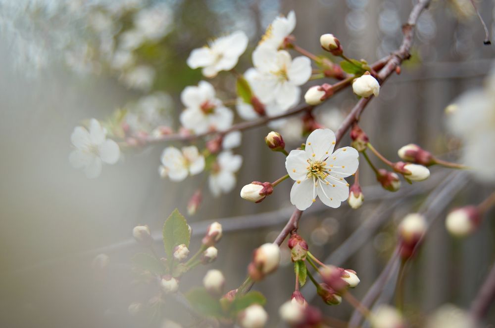 Photograph by Маргарита Гасец