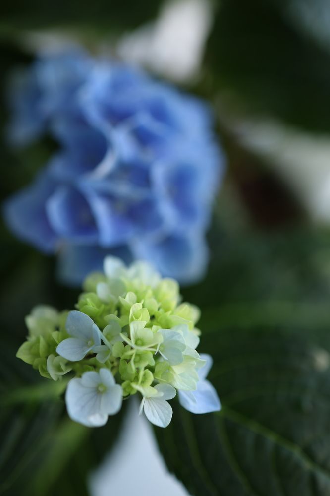 Photograph by Бальзирова Наталья