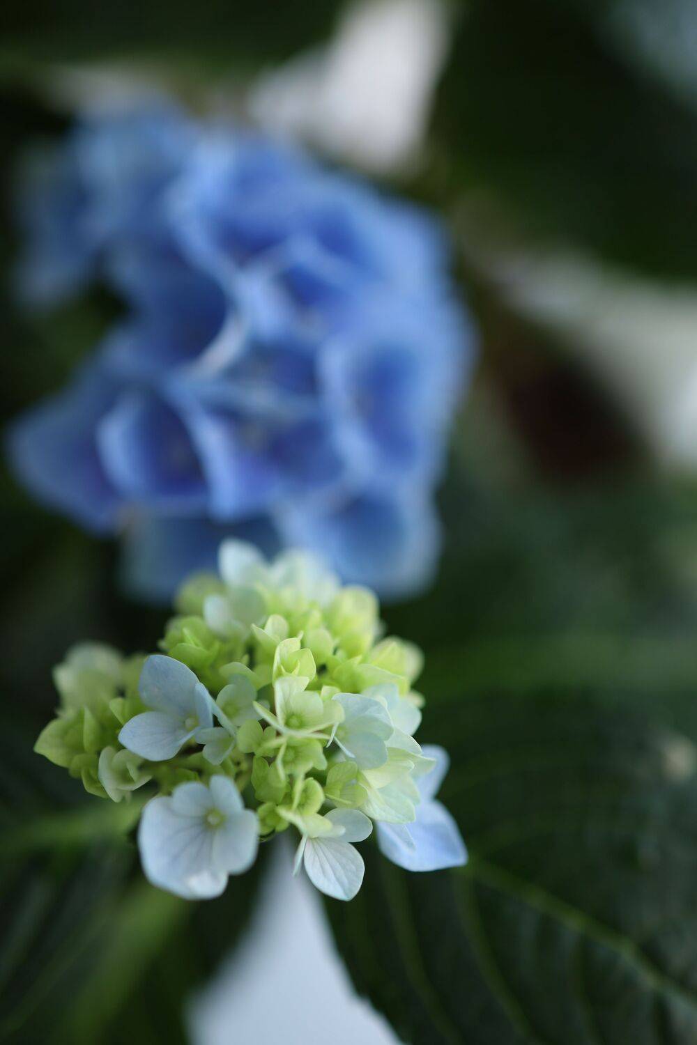 Фотография #9501134