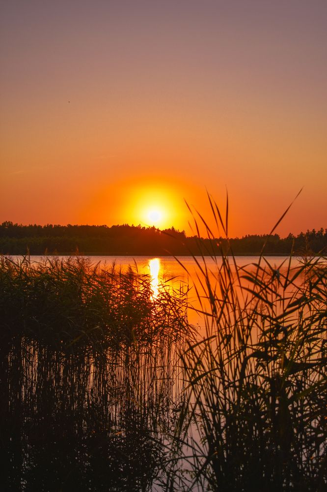 Photograph by Лариса Толкачёва