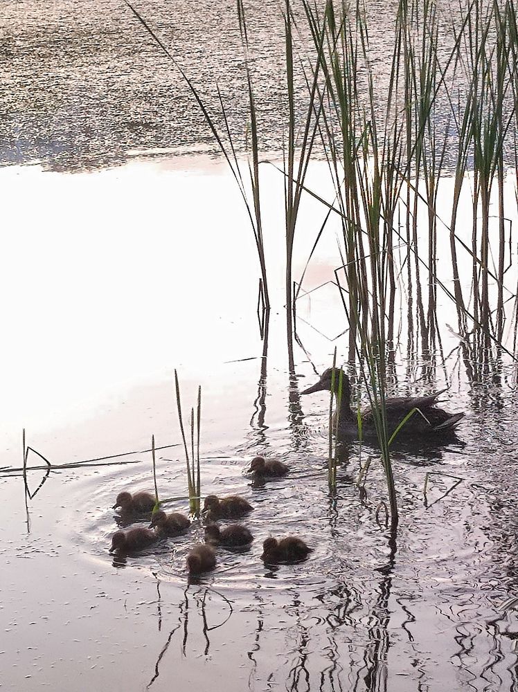 Photograph by Evgenia Korchagova