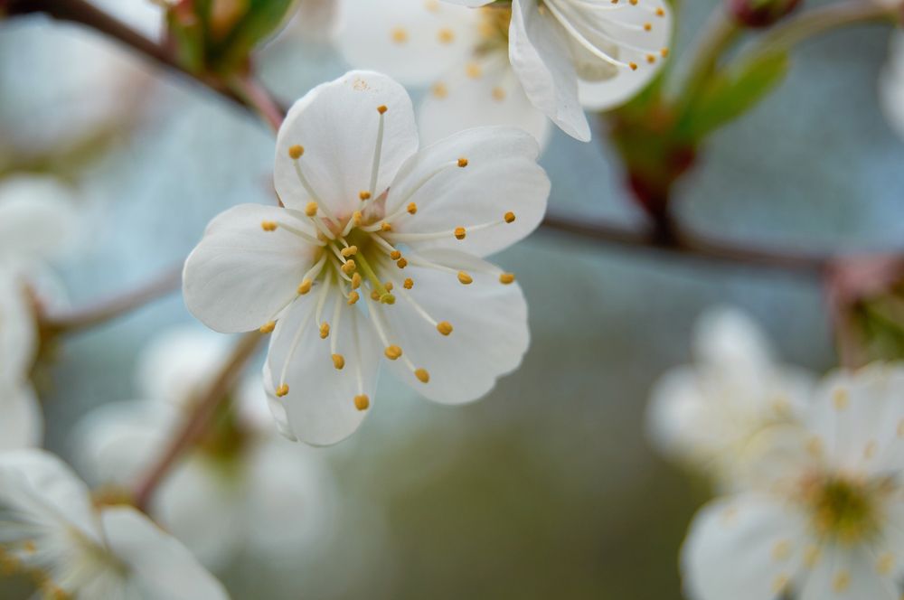 Photograph by Маргарита Гасец