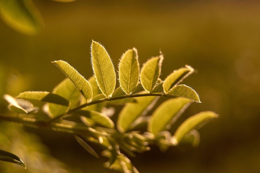 Photograph by Маргарита Гасец