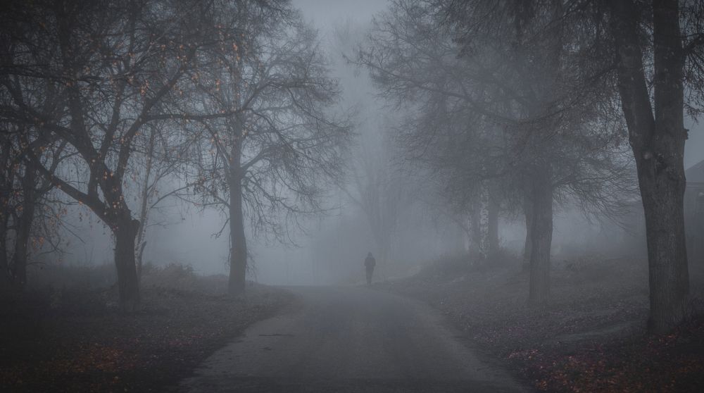 Photograph by Denis Romanov