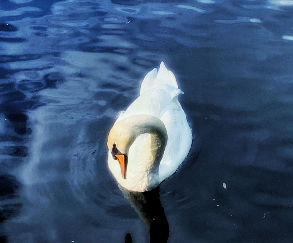 Photograph by Дайана