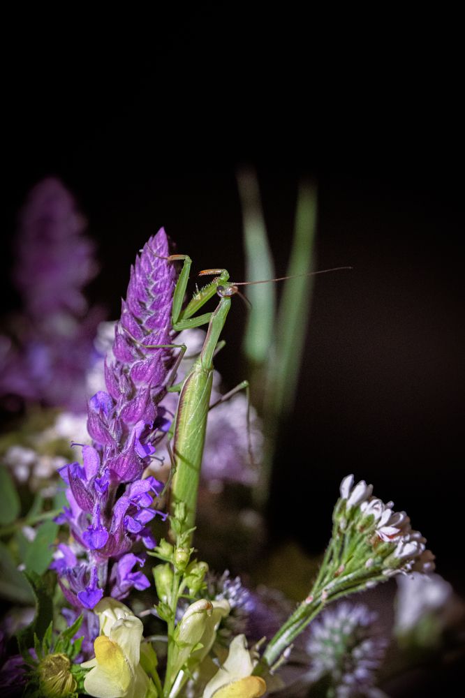 Photograph by Алексей Щупаков