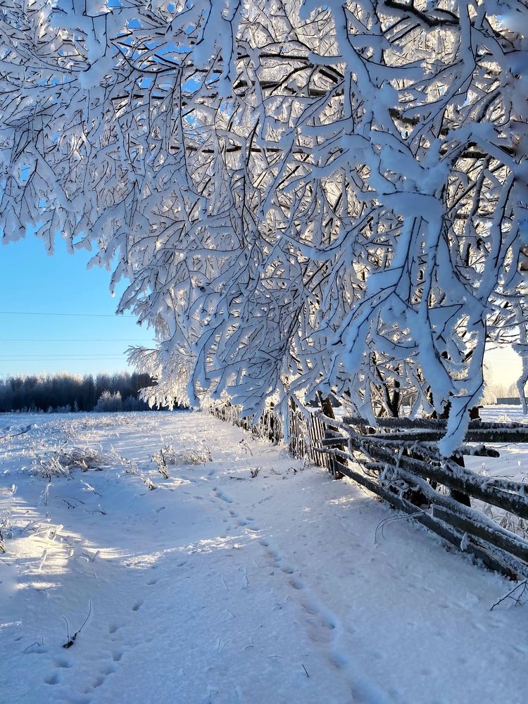 Photograph by Марина