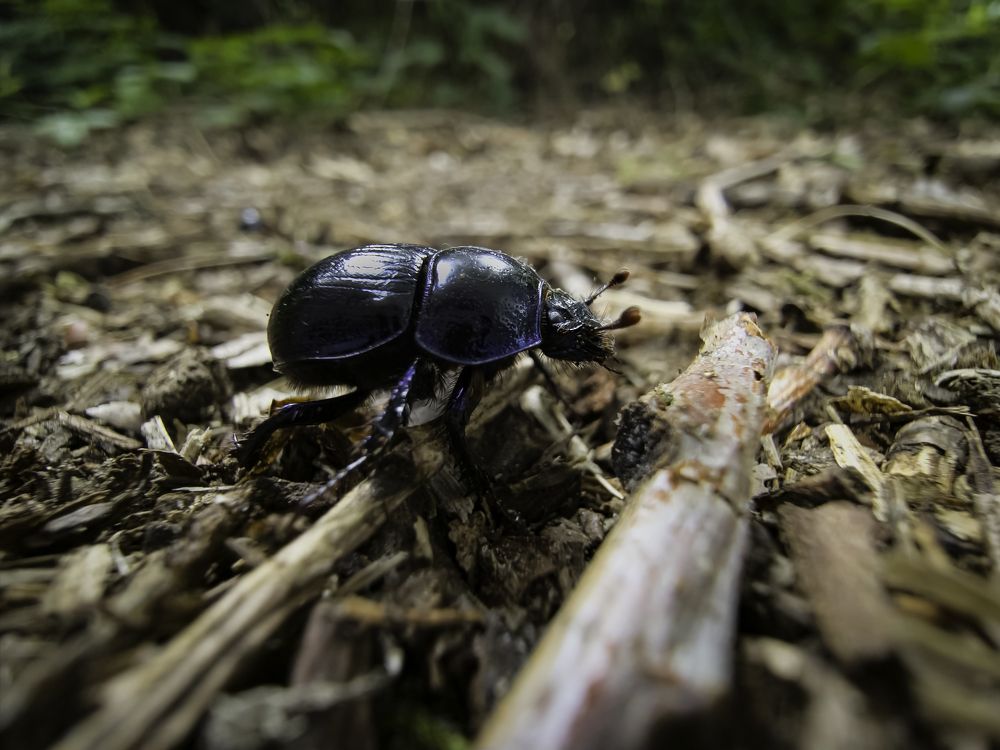 Photograph by Nicole Maria Oestreich