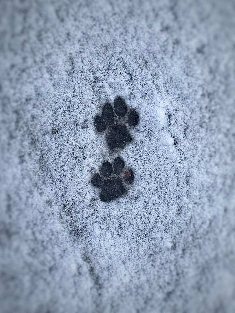 Photograph by Дайана