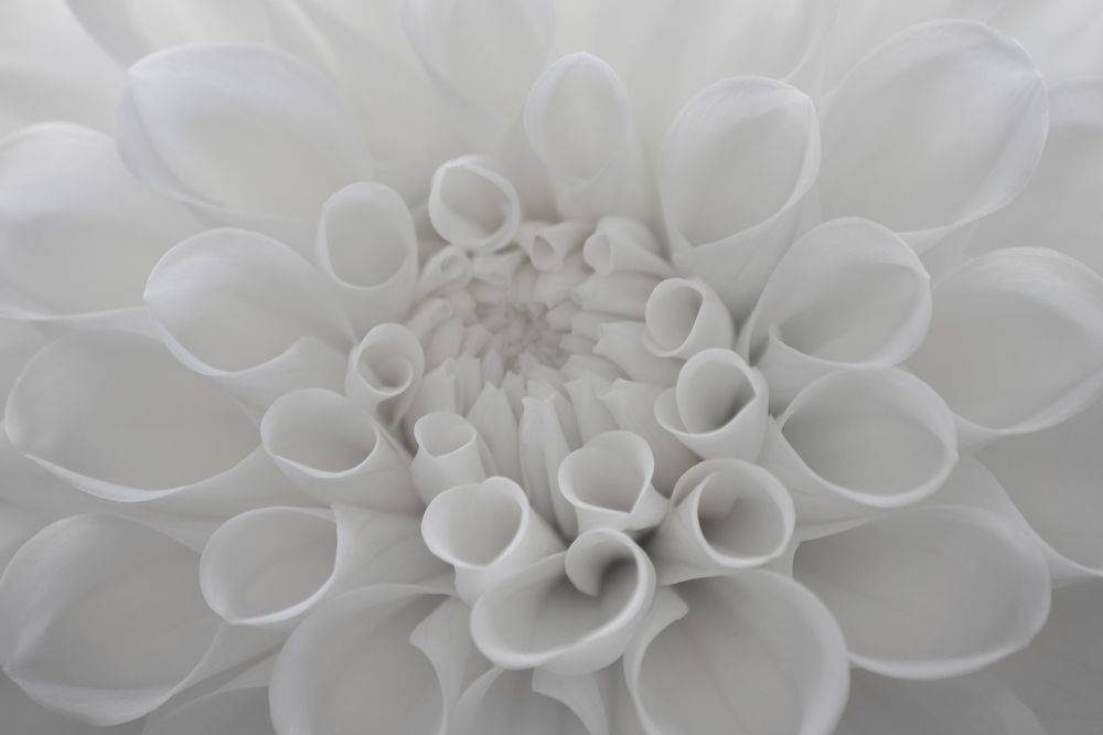 Photograph by Миронова Мила