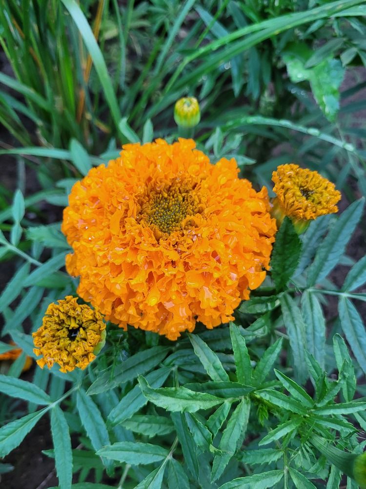 Photograph by Алексей Горин