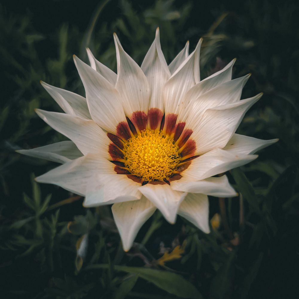 Photograph by Алексей Горин