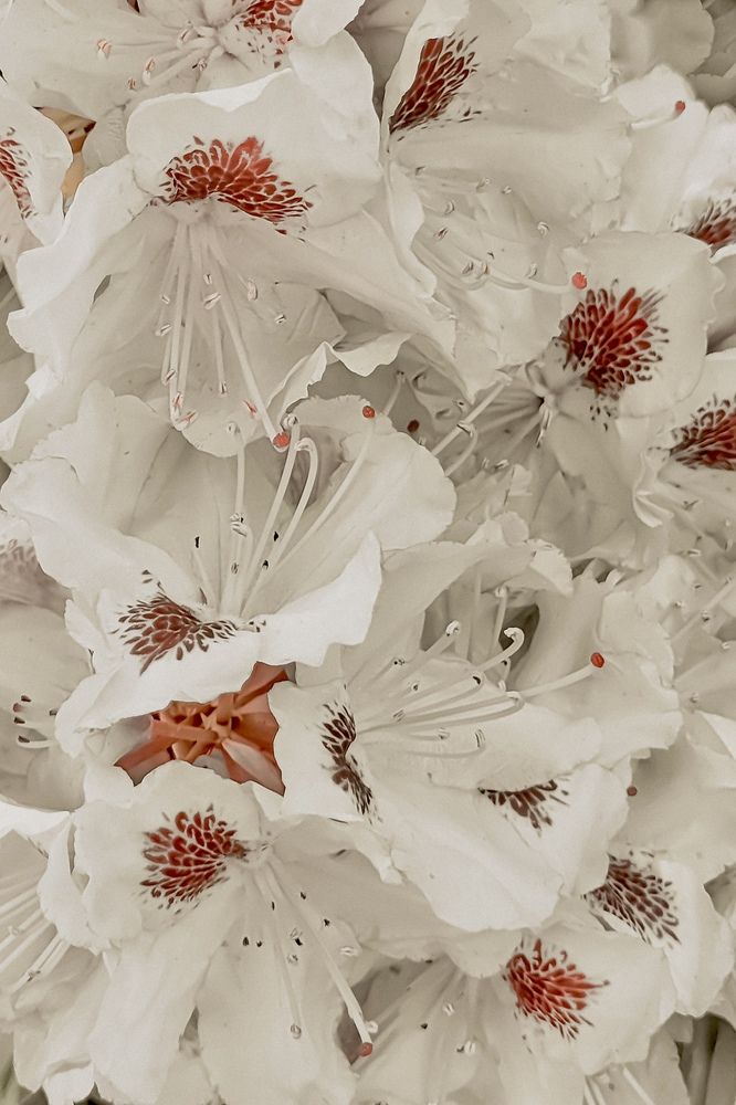 Photograph by Алексей Горин