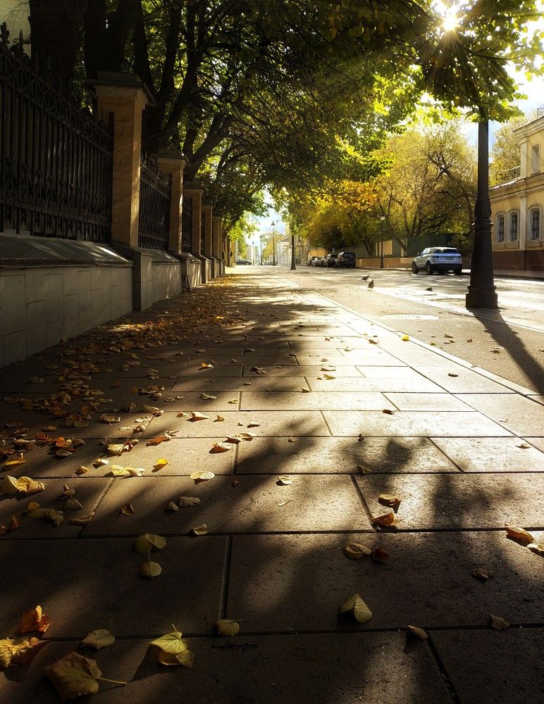 Photograph by Анна Панеева