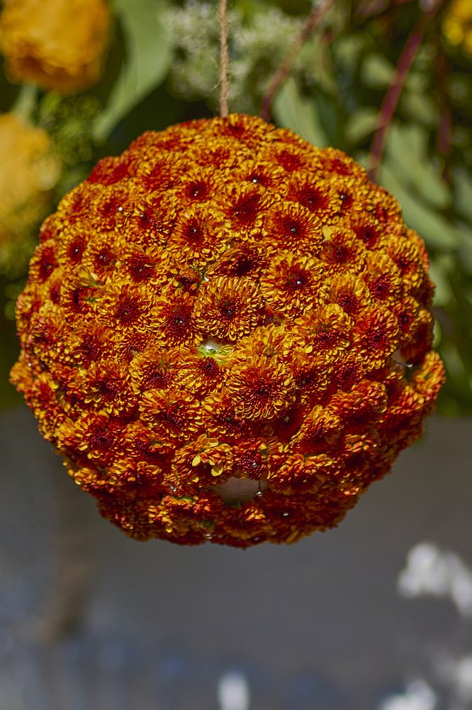 Photograph by Устинов Андрей