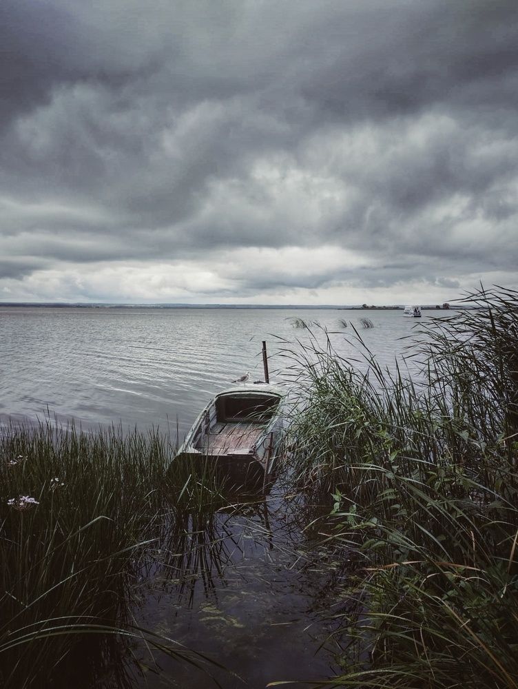 Photograph by Ксения