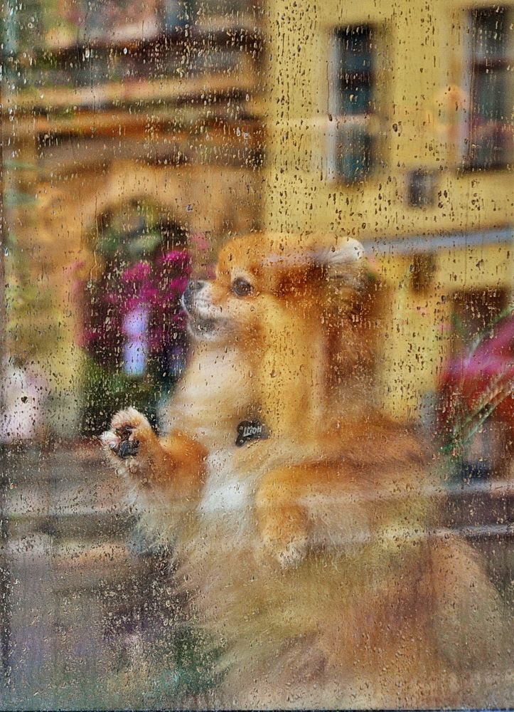 Photograph by Константин Мишнаевский