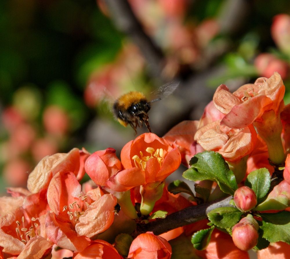 Photograph by Даниил Пузаков