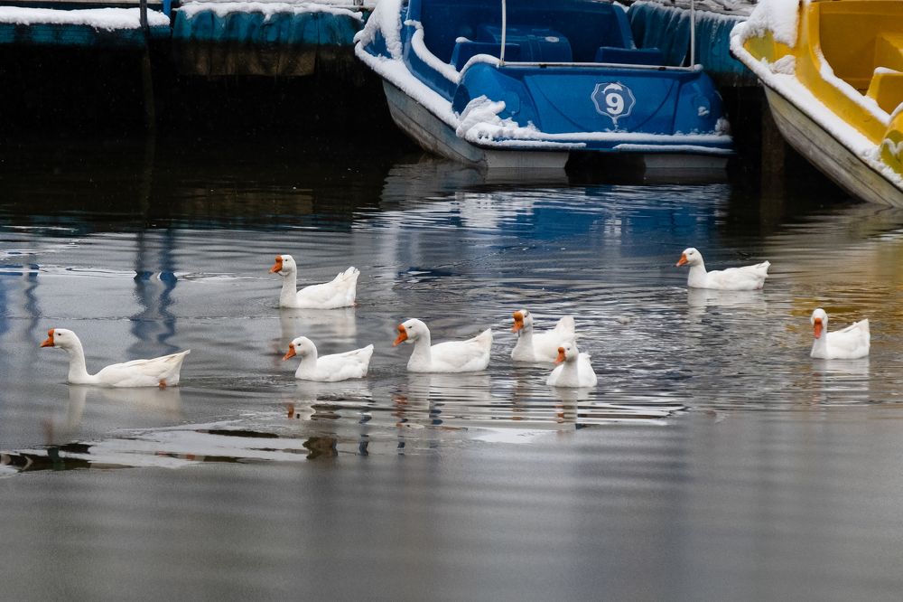 Photograph by İNCİ KOYUNCU