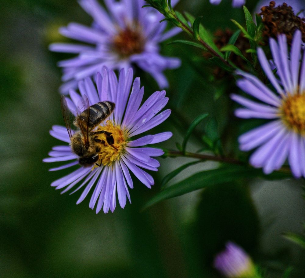 Photograph by Даниил Пузаков