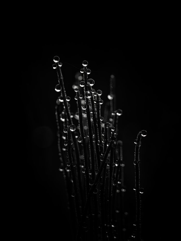 Photograph by Маргарита Смоленская