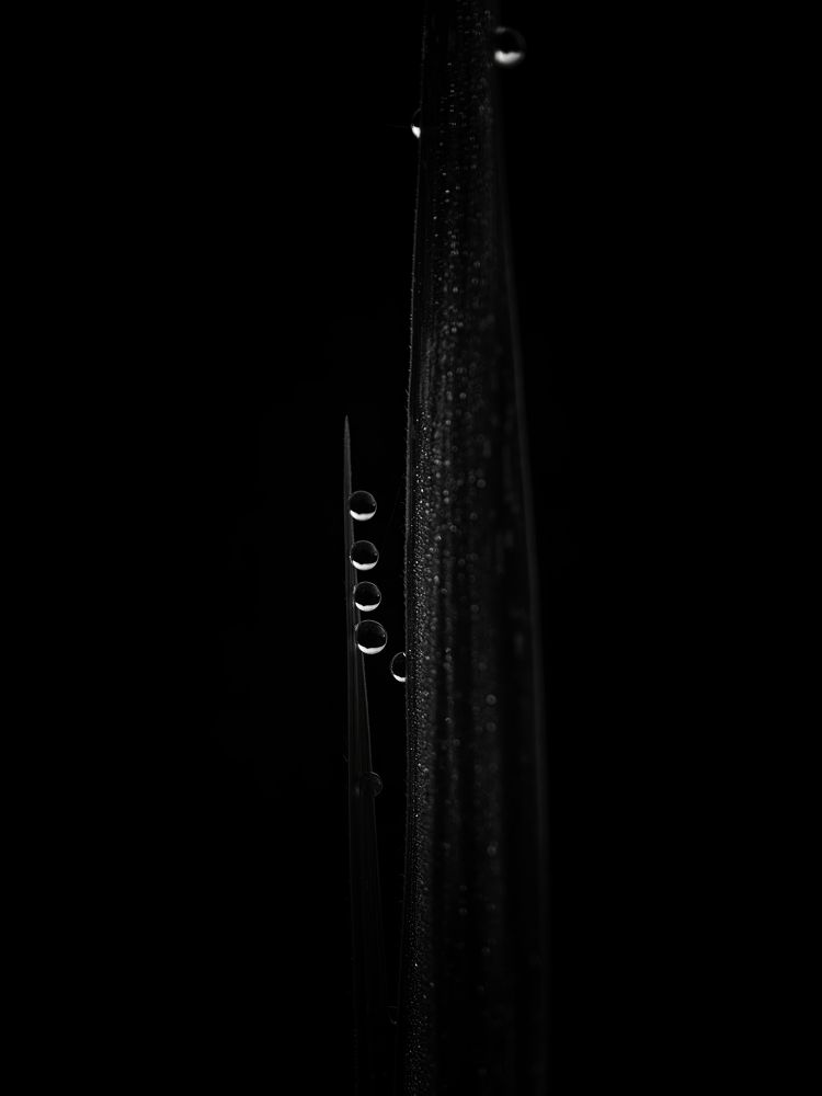 Photograph by Маргарита Смоленская