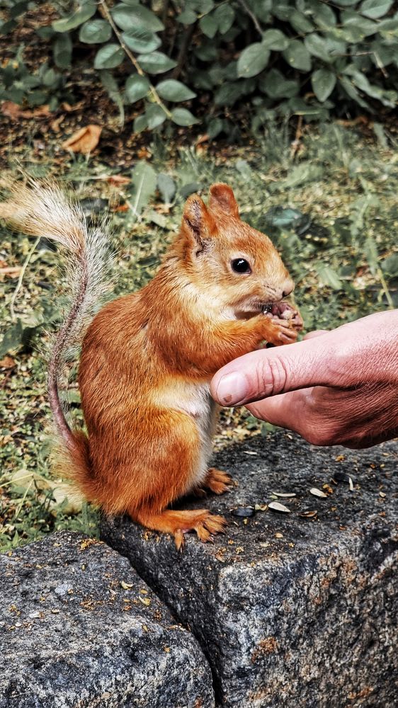 Photograph by Женя Жданова