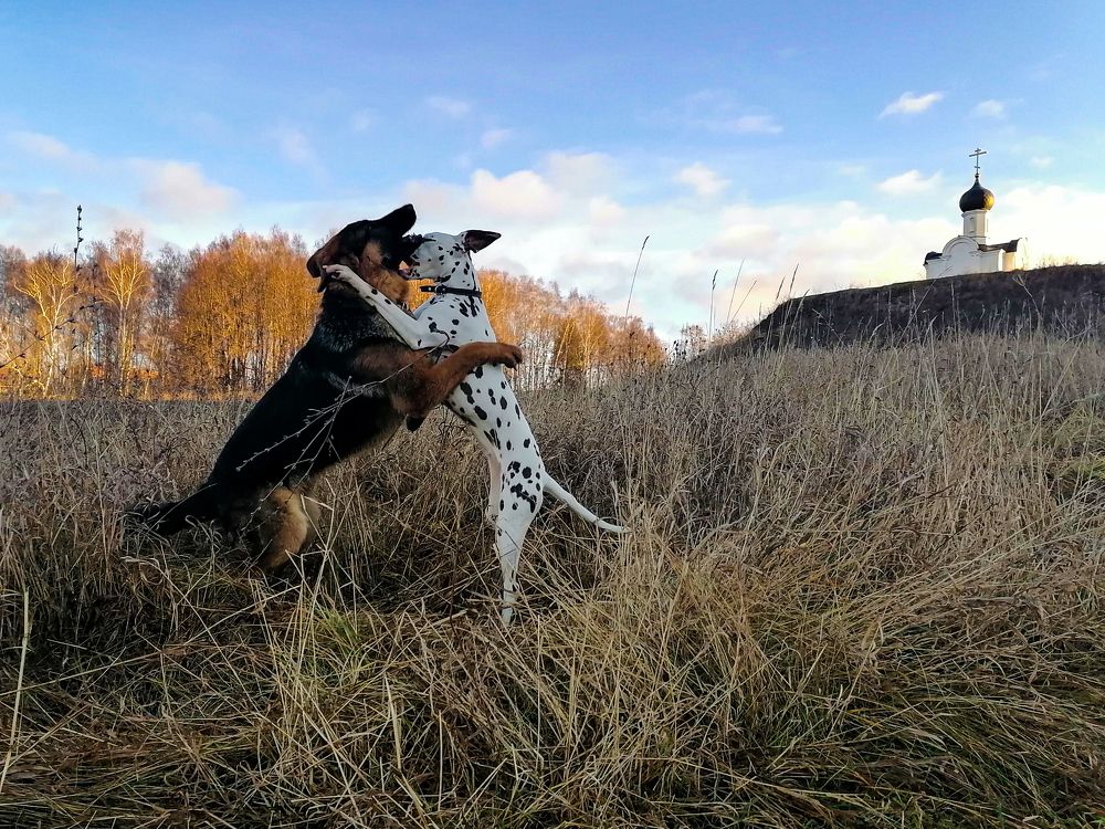 Photograph by Станислав Евсеев