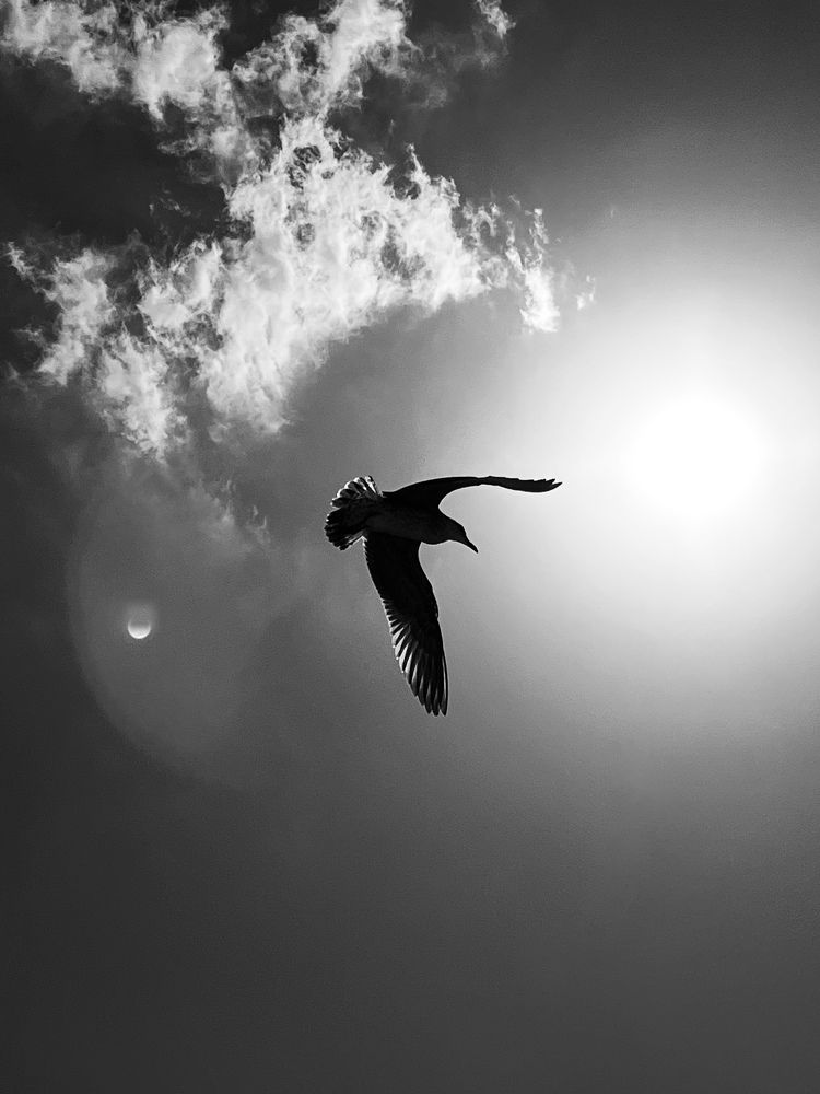 Фотография автора Svetlana Ilina