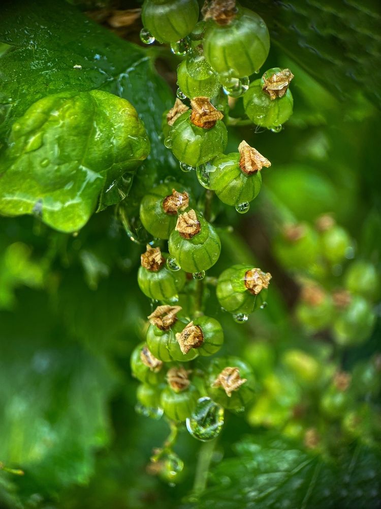 Photograph by Марина