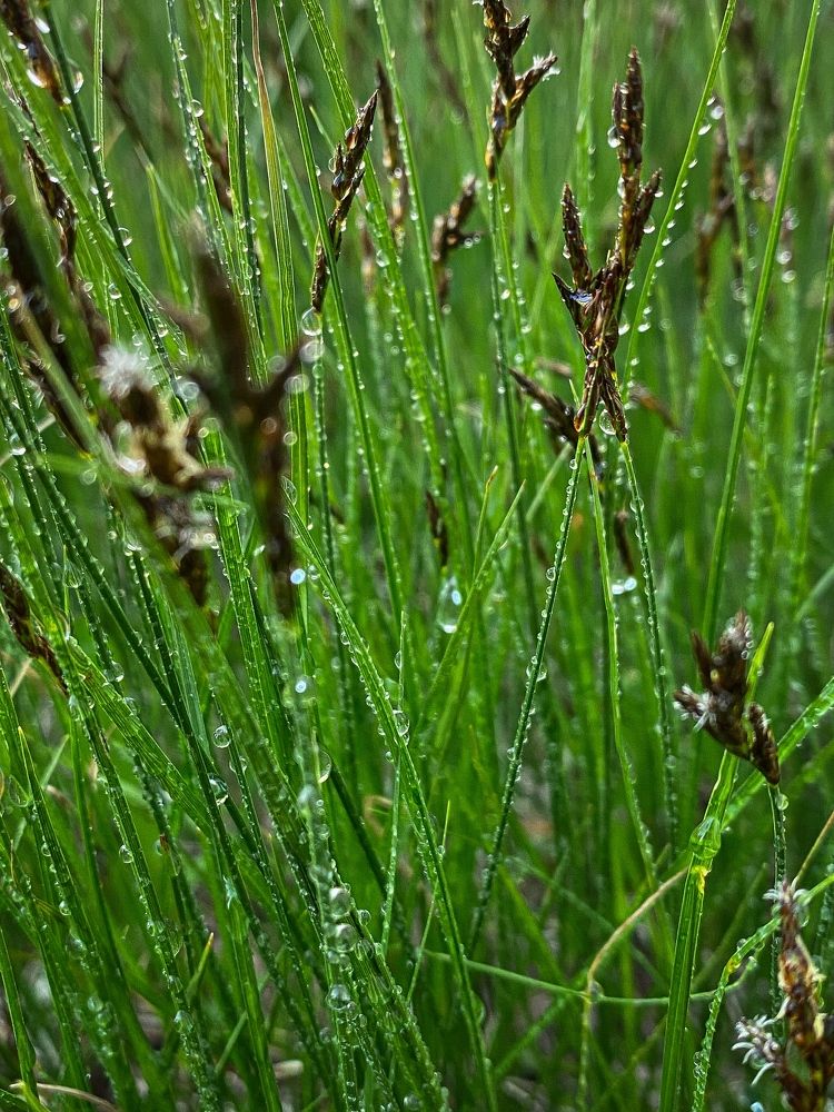 Photograph by Марина