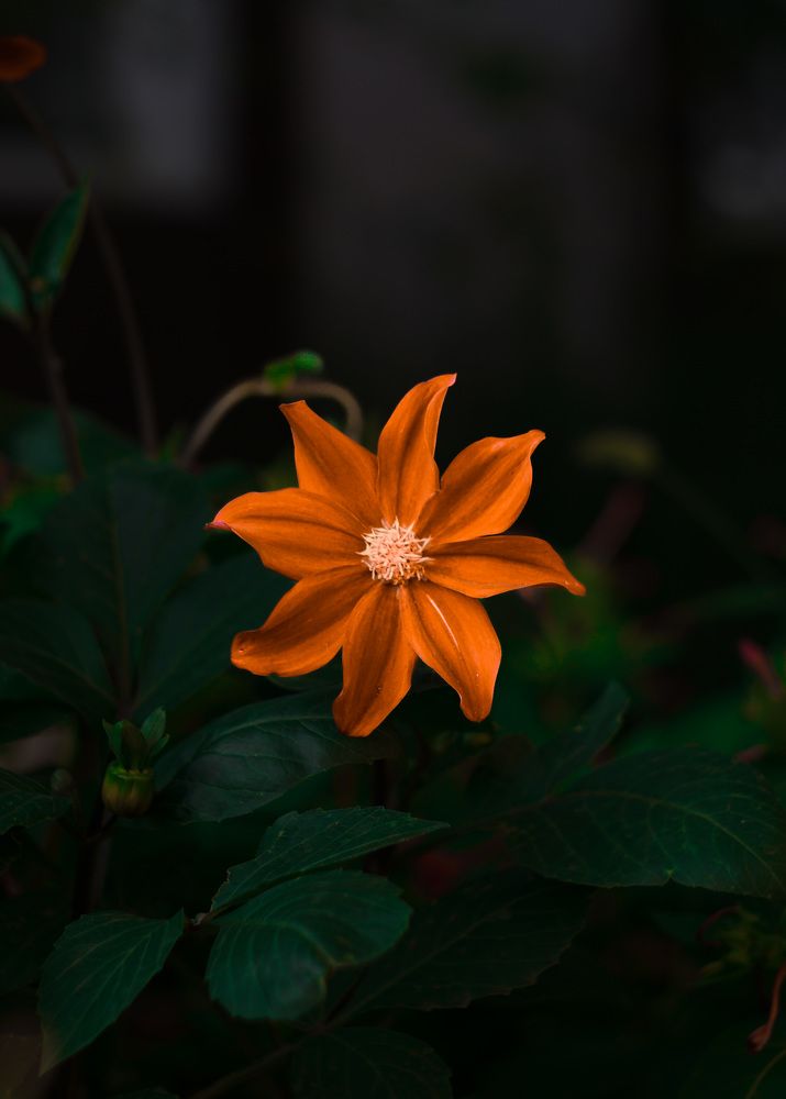 Photograph by Роман Вайдов