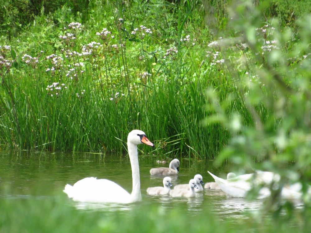 Photograph by Денис Веску