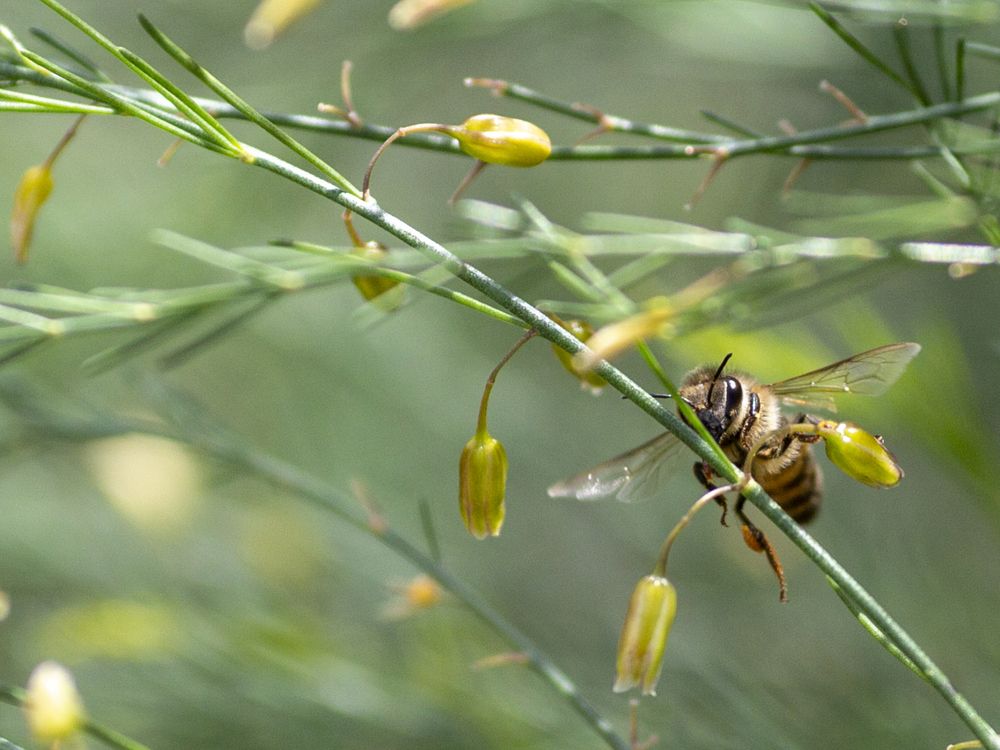 Photograph by Игорь Кутний