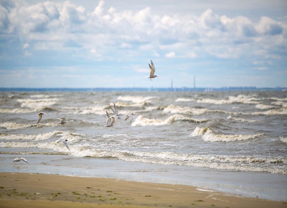 Photograph by Наталья Катюжанская